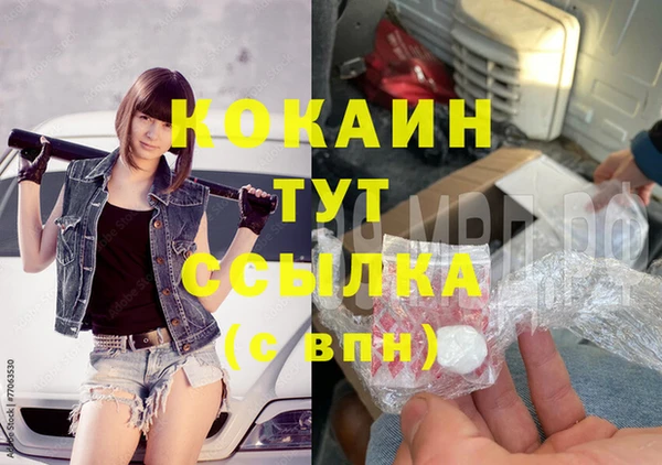 гидра Бронницы