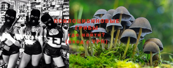 кокс Бородино