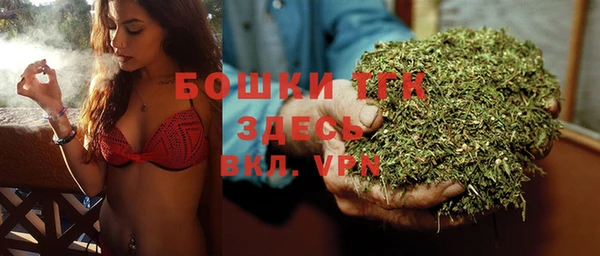 гидра Бронницы
